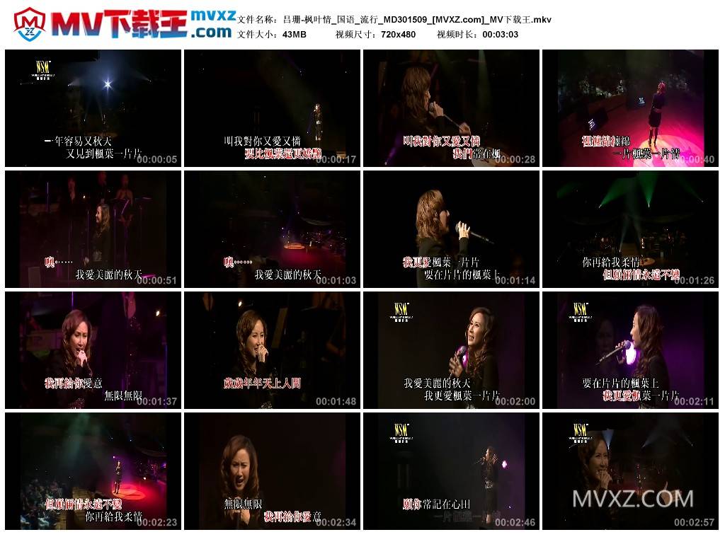 吕珊-枫叶情_国语_流行_MD301509